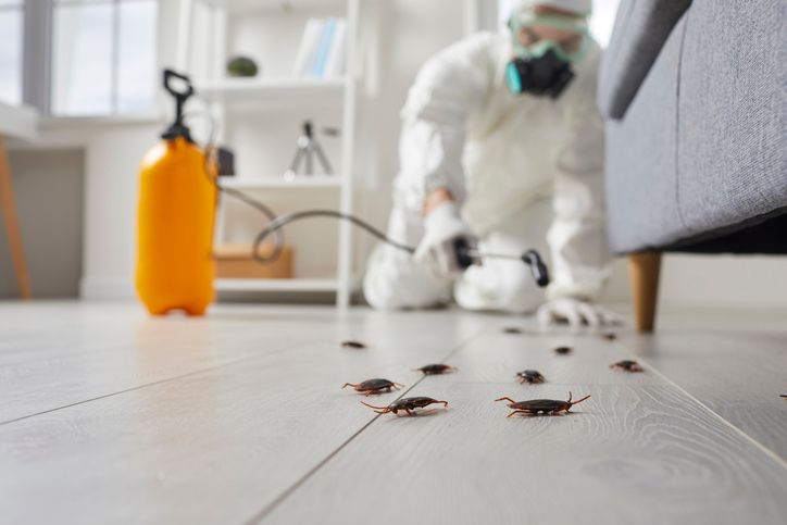 Heat Tech Knows Cockroach Treatment