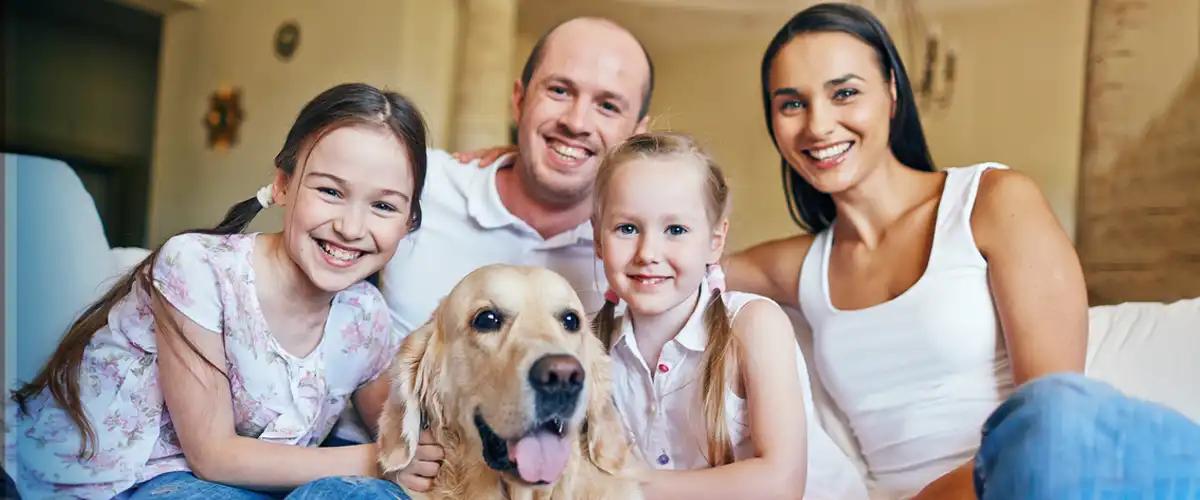 Combat Fleas with Ease!