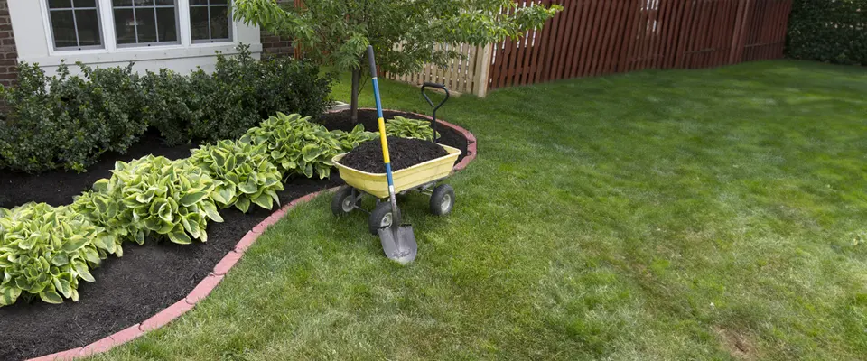 Outdoor Maintenance