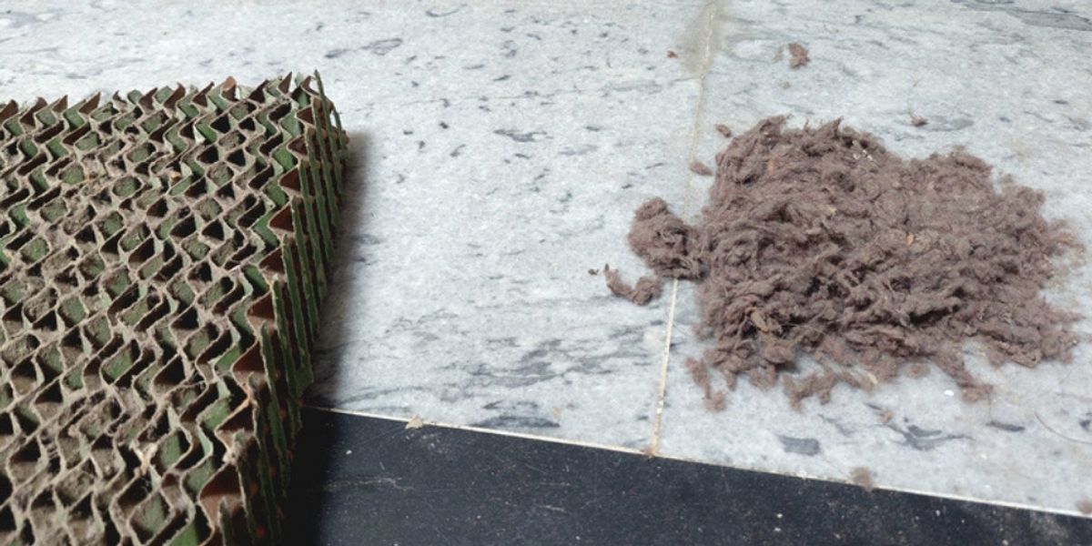 Mite Treatment - Signs