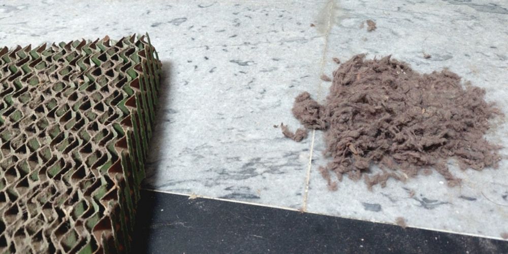 Mite Treatment - Signs