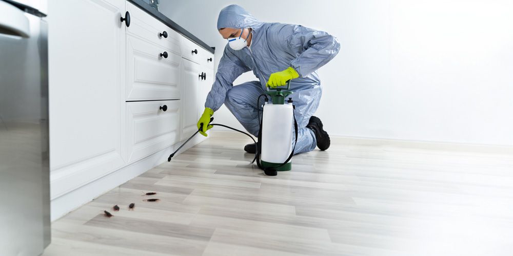 Keeping Household Pests at Bay - Pest Control
