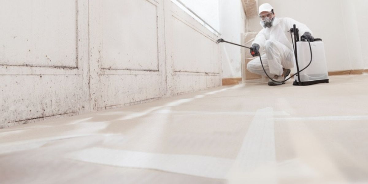 Pest Elimination - Lasting Protection