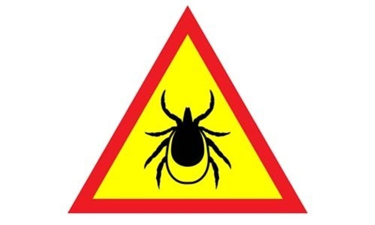 Preventing Future Tick Infestations