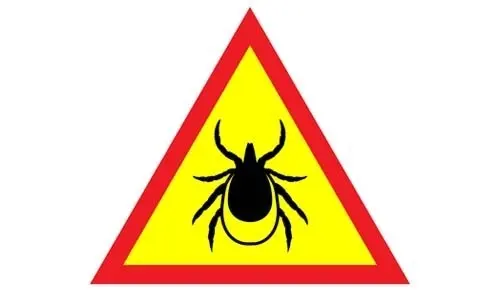 Preventing Future Tick Infestations