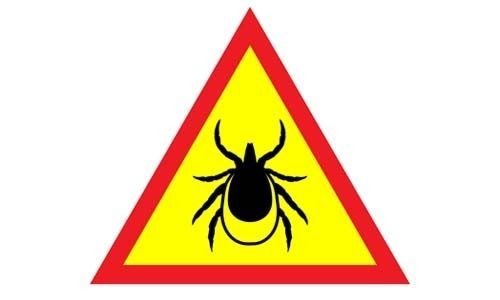 Preventing Future Tick Infestations