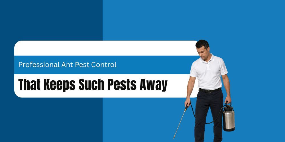 man_spraying_pest-control