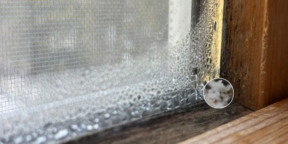 Moisture Makes Gaps Even More Inviting