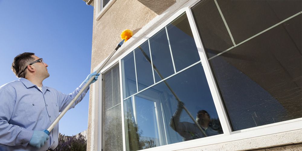 When to Use Professional Spider Control Services