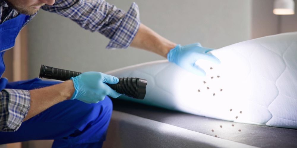 Why Immediate Action Matters