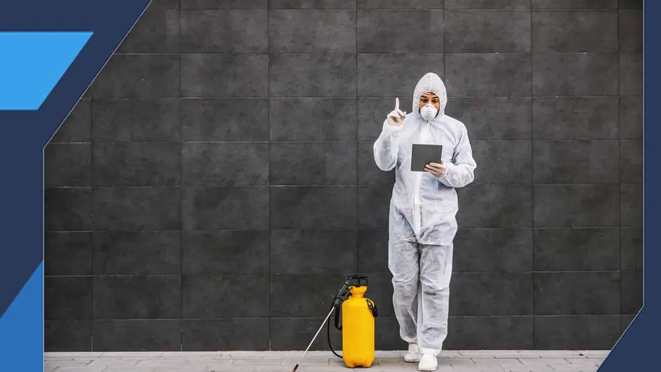 1. Insecticides