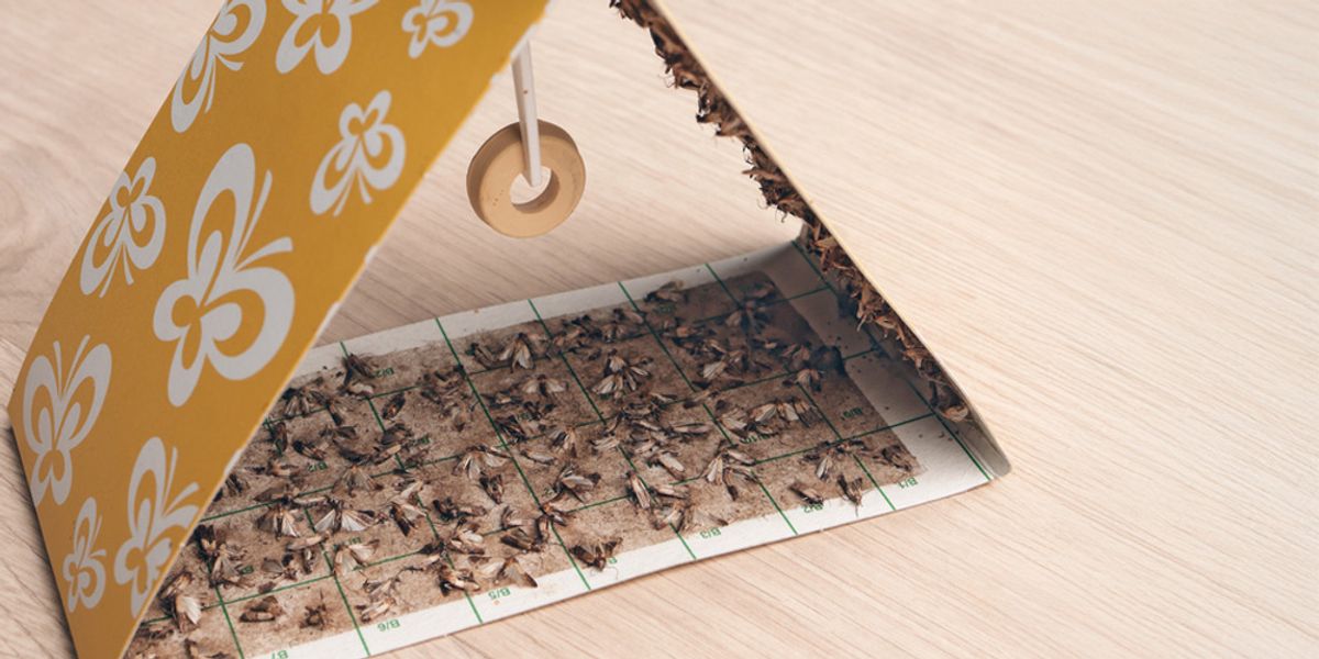 Summer- Managing High-Activity Periods