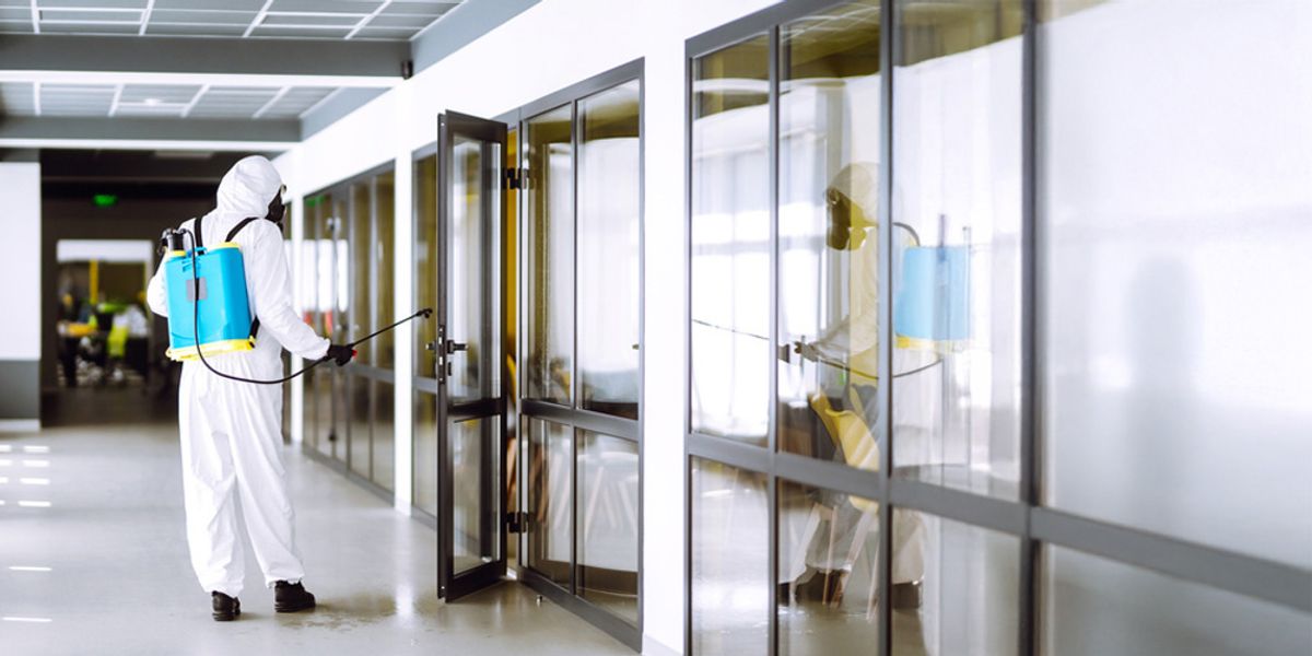 Benefits of Choosing Conventional Bed Bug Treatments