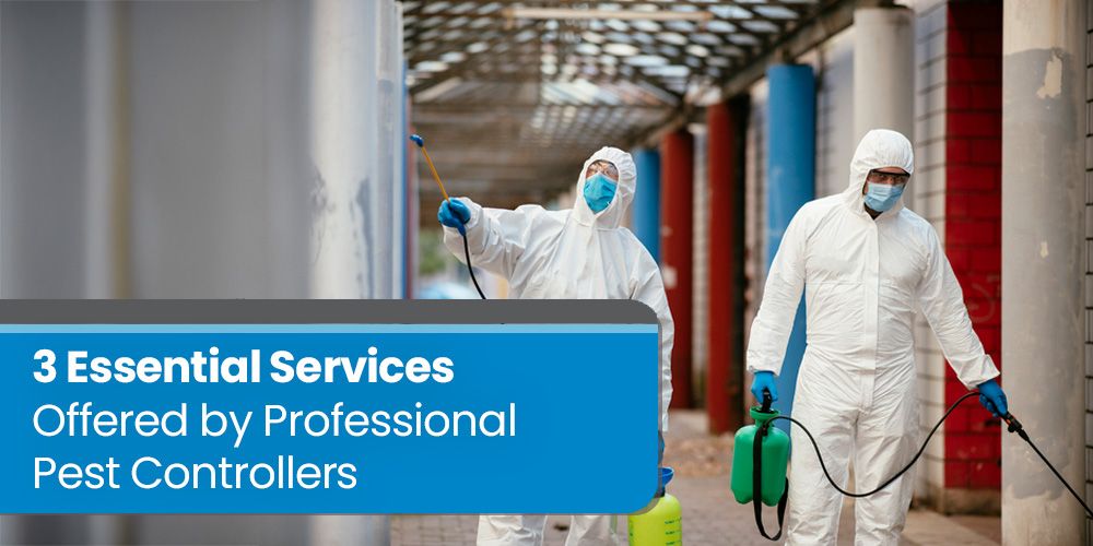 3 Essential Services Offered by Professional Pest Controllers