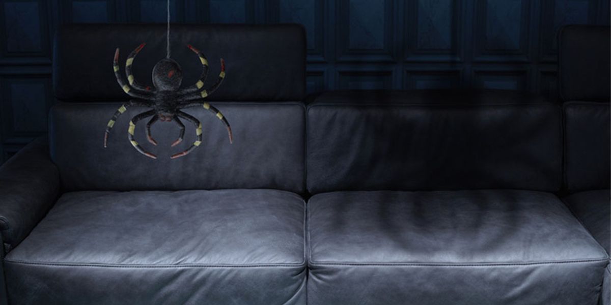 Untangling the Spider Situation