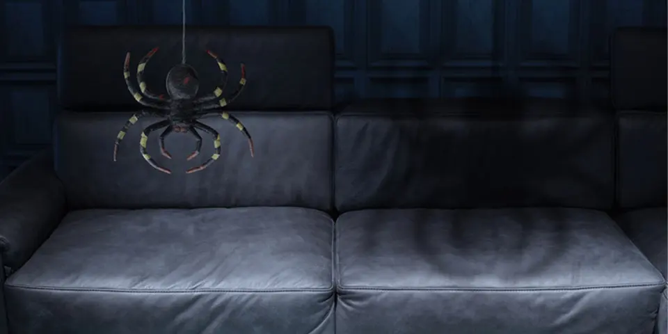 Untangling the Spider Situation