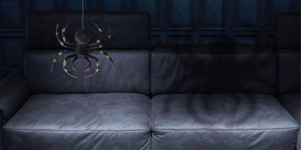 Untangling the Spider Situation