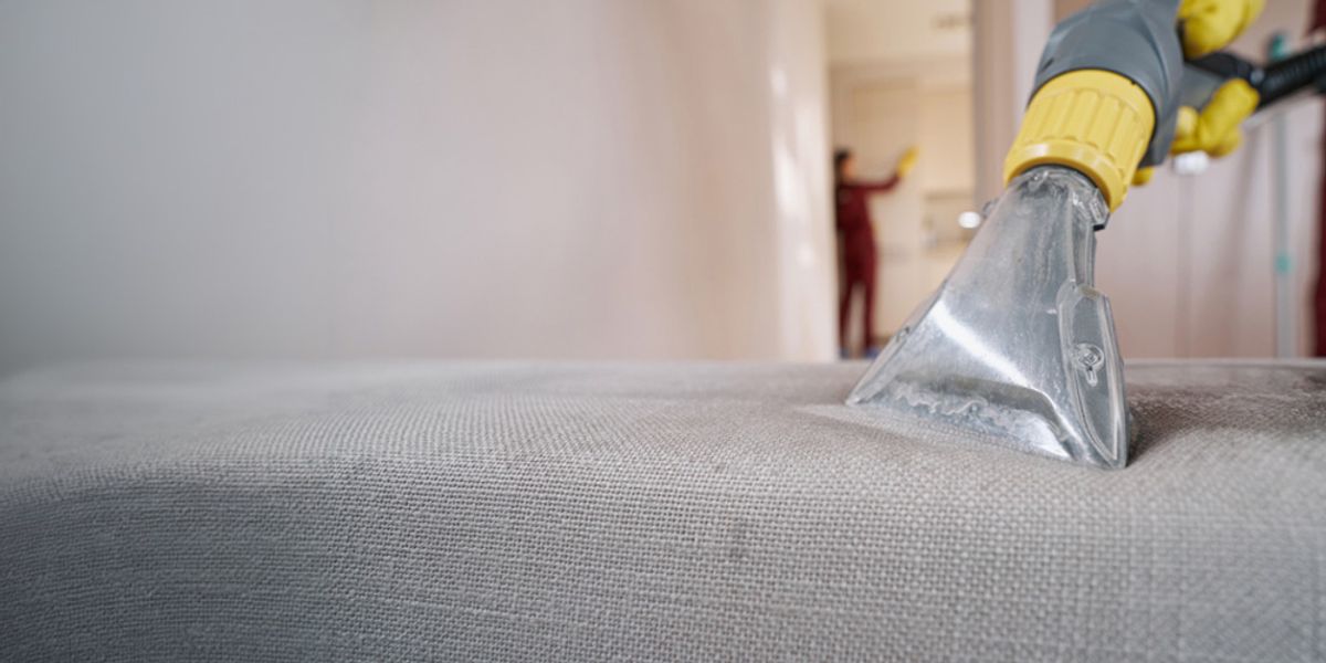 Deep Cleaning - Bed Bug Control