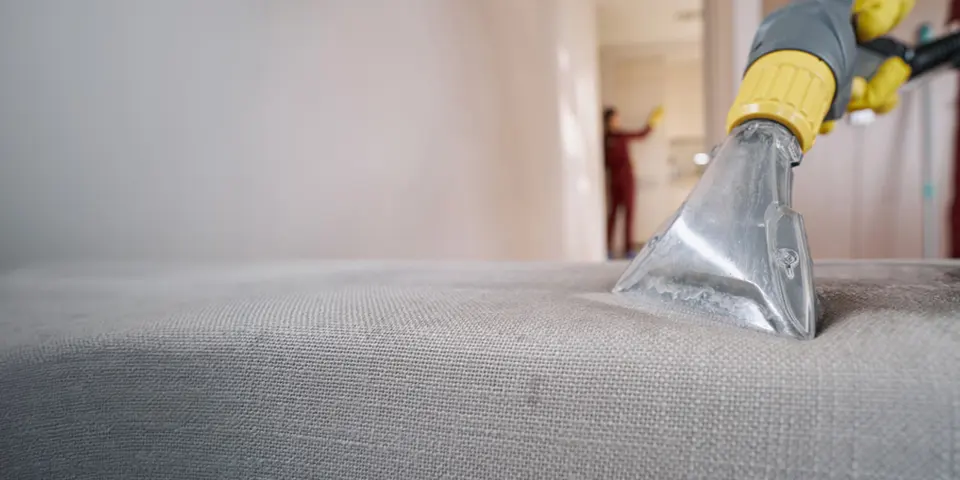 Deep Cleaning - Bed Bug Control
