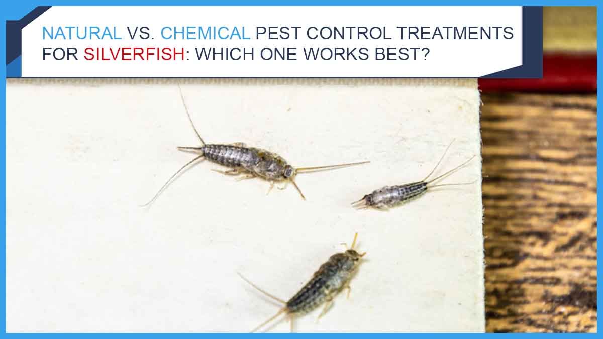 Natural vs. Chemical Pest Control Treatments for Silverfish