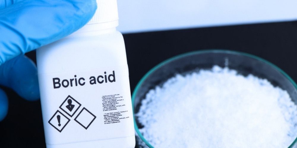 silverfish control - DIY Methods