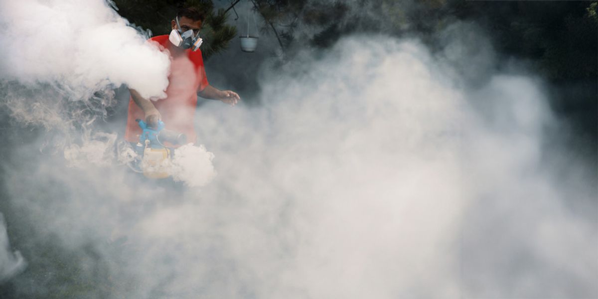 Heat Treatment as Silverfish Control