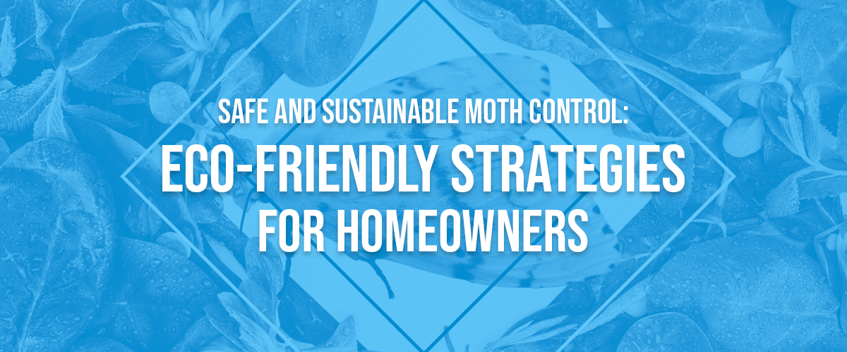 Safe-and-Sustainable-Moth-Control--Eco-Friendly-Strategies-for-Homeowners