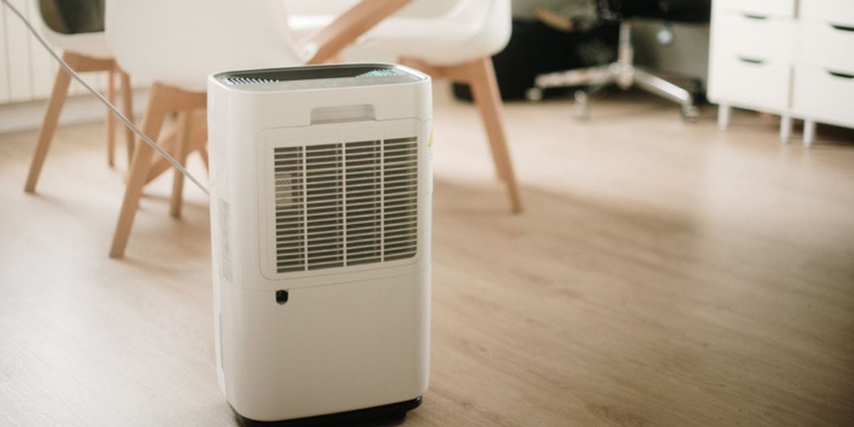 silverfish control - Long-Term Prevention 