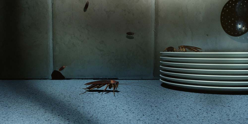 The Regulatory Landscape and Safety Protocols