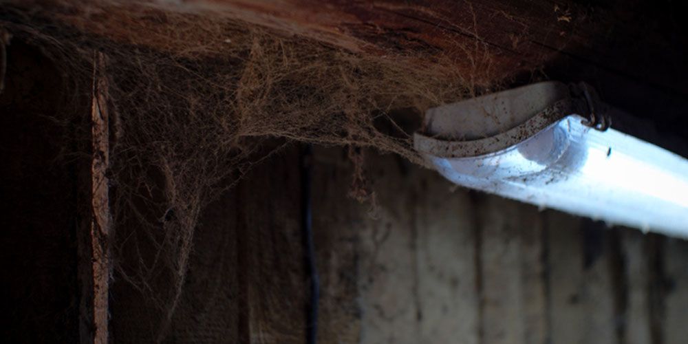 Preventive Measures and Long-Term Peace of Mind