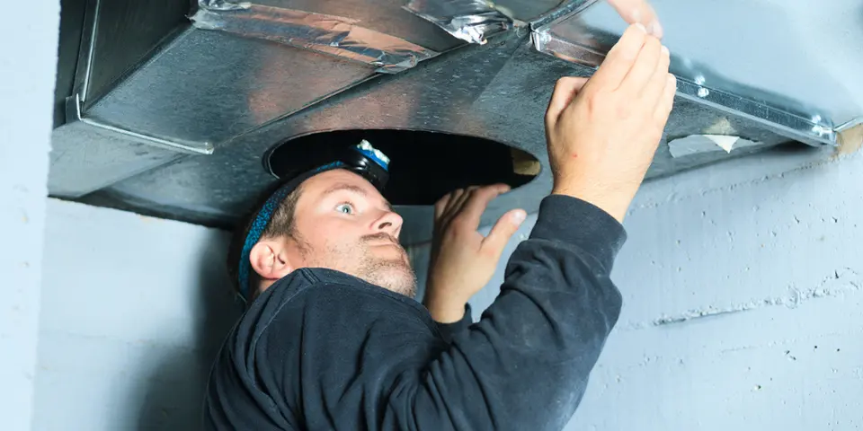 Integrated Pest Management (IPM) Works with Vent Checks