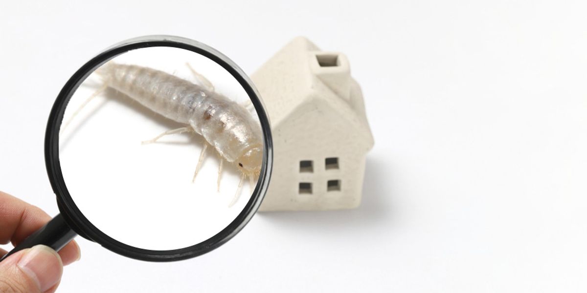 Long -Term Monitoring and Maintenance