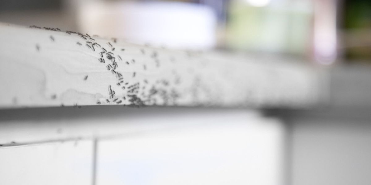 Areas to Focus on Preventive Maintenance