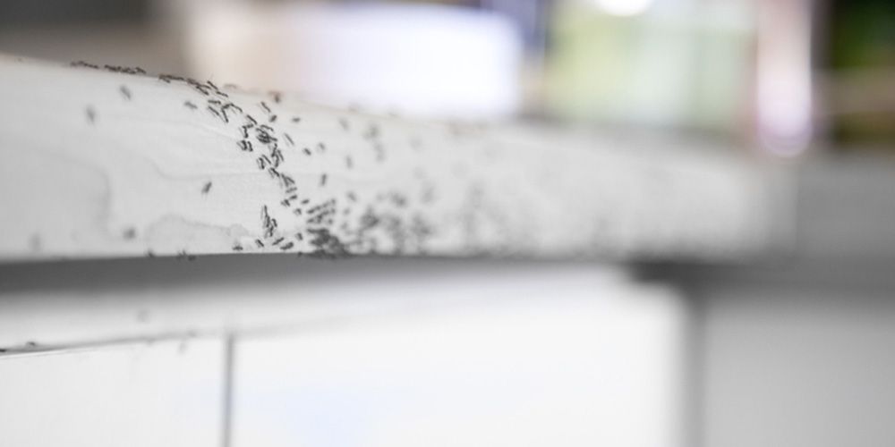 Areas to Focus on Preventive Maintenance