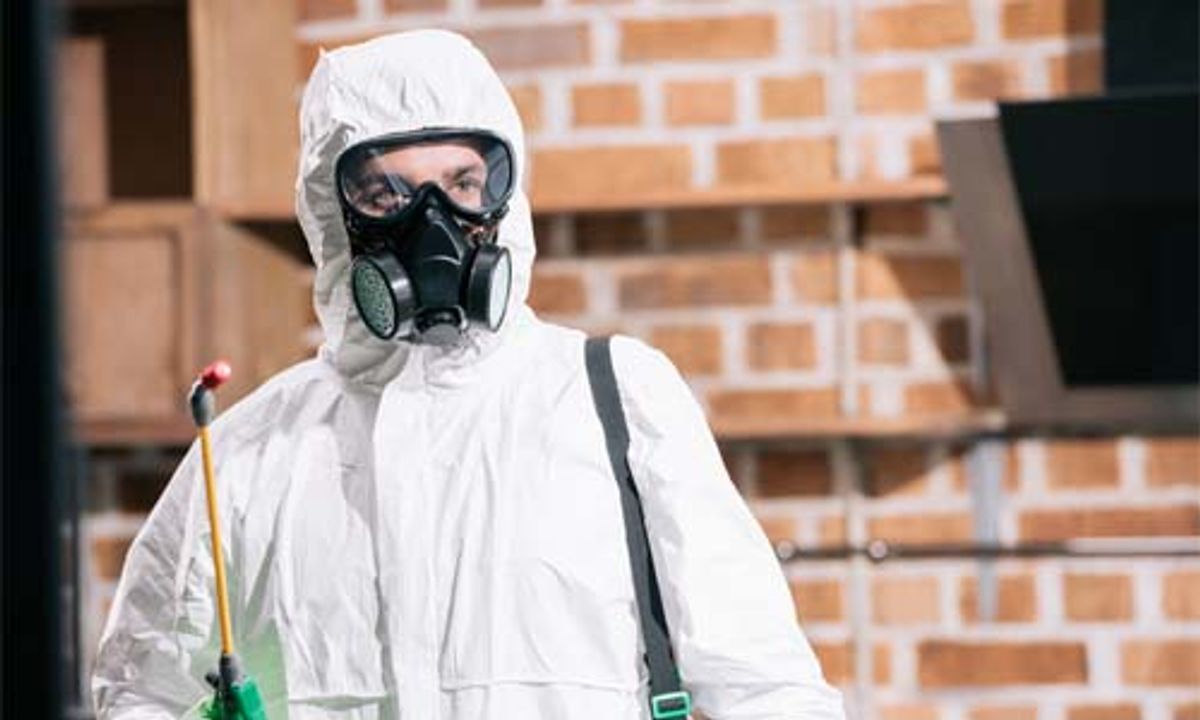 Key-Takeaways-DIY-vs.-Professional-Services-