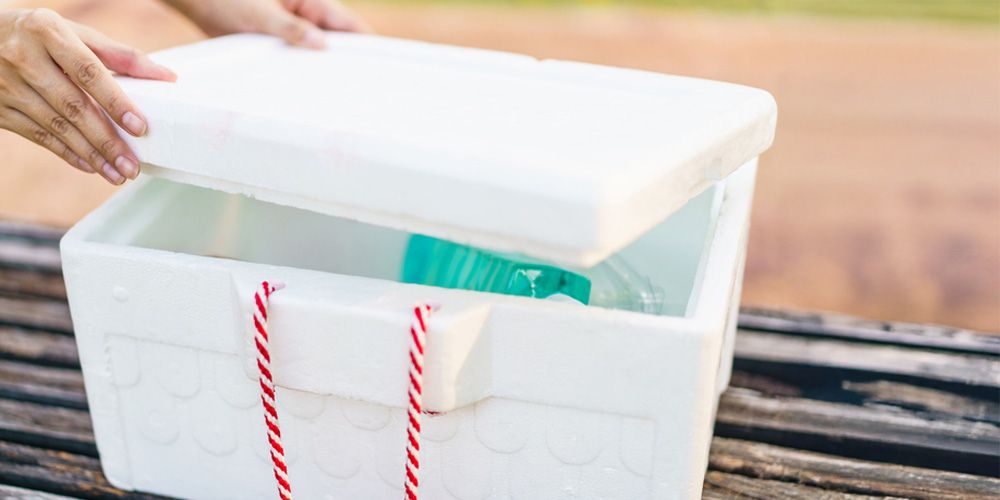 Spring- Preparing for Peak Moth Activity