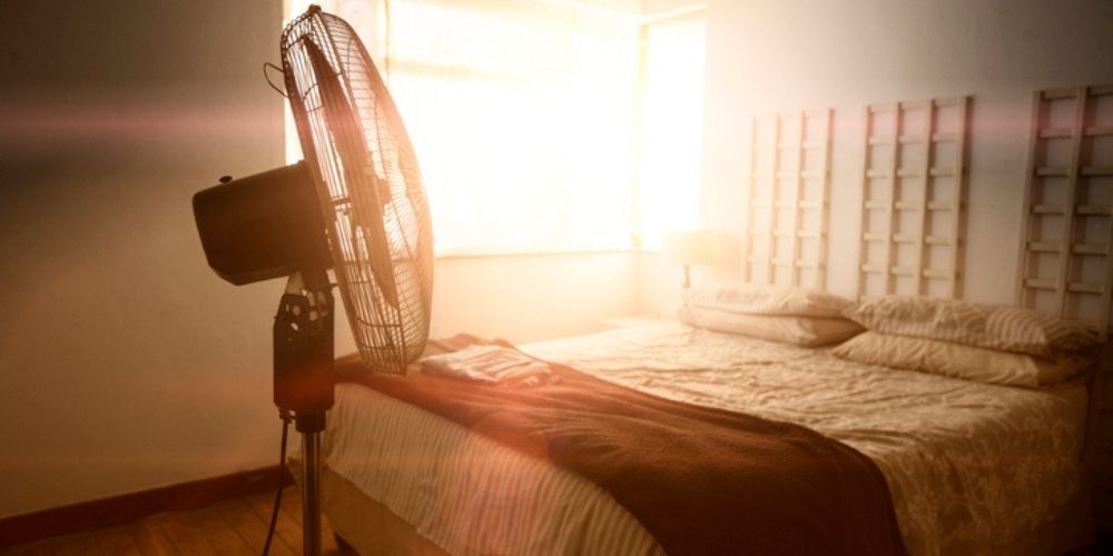 Warmth and Humidity_ Roach Paradise