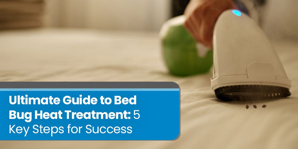 Ultimate Guide to Bed Bug Heat Treatment- 5 Key Steps for Success