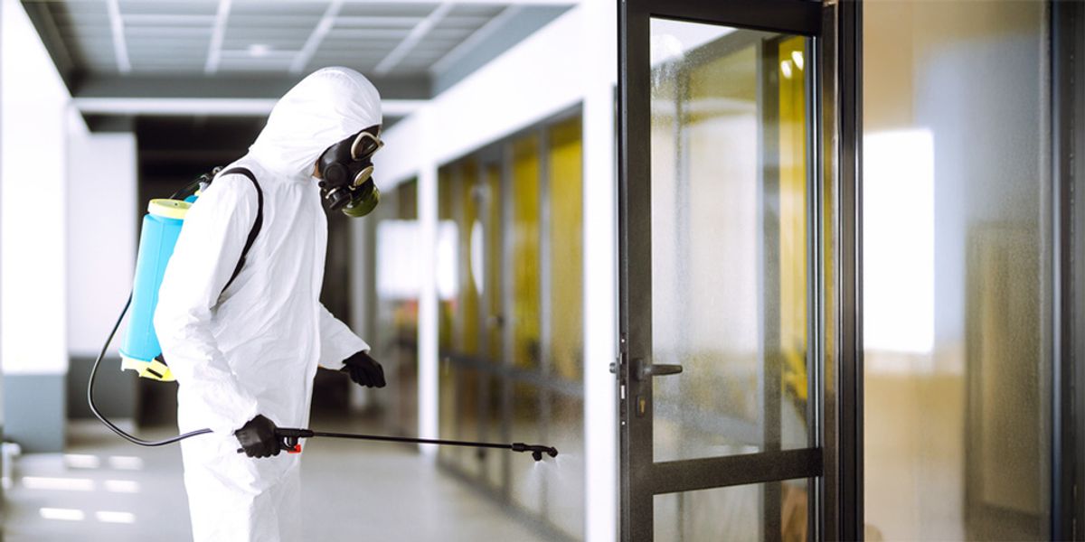 The Impact of Expert Pest Control