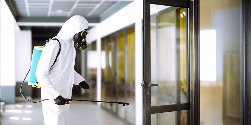 The Impact of Expert Pest Control