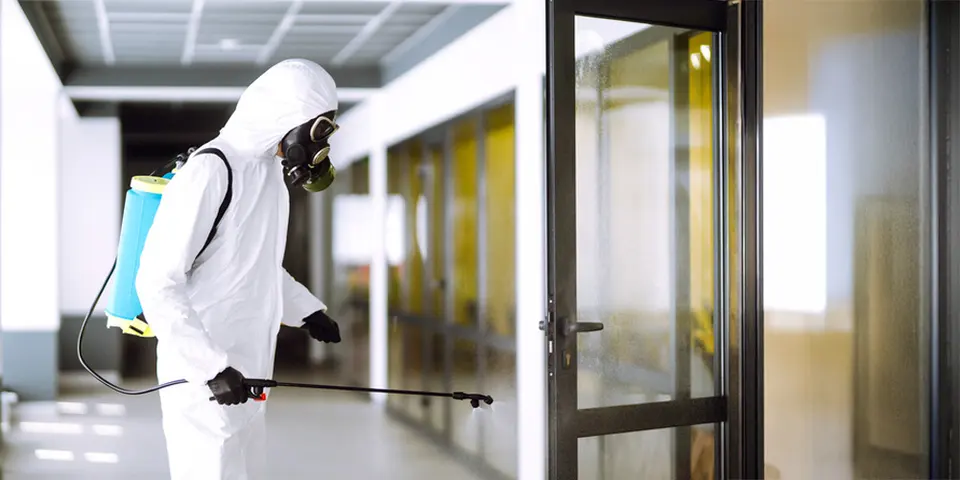 The Impact of Expert Pest Control