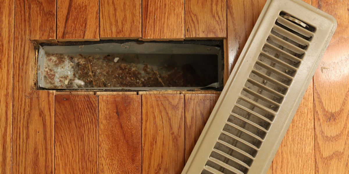 Early Detection Beats Major Infestations