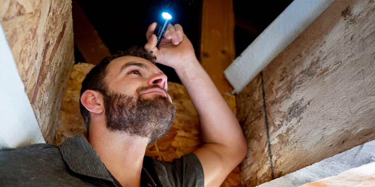 Winter- Monitoring and Maintenance