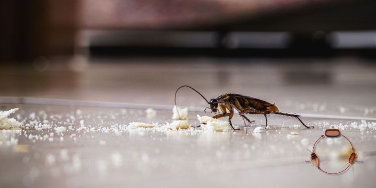 What Life Cycle Targeting Looks Like in Practice