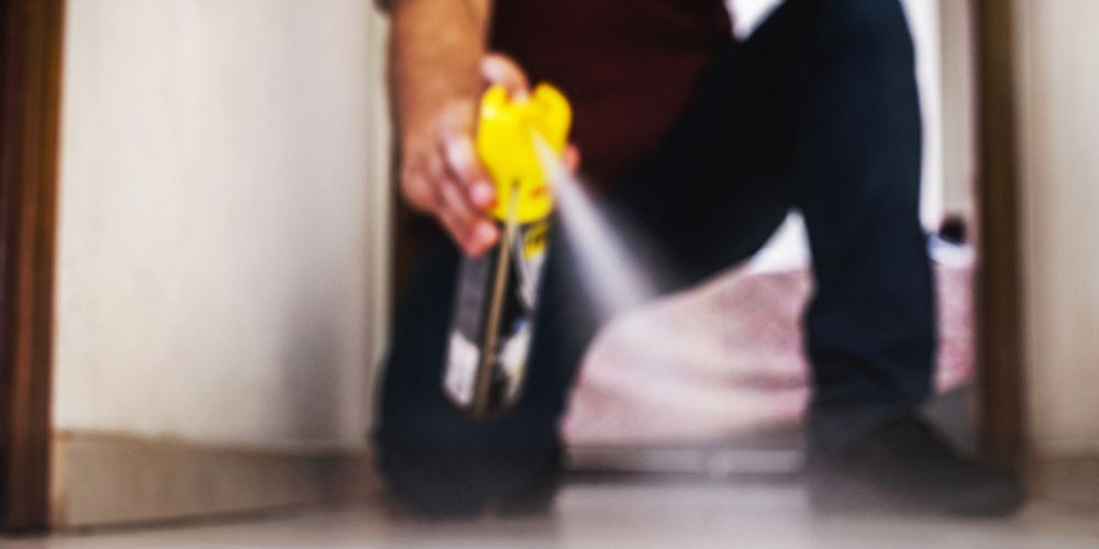 5. Apply Safe and Effective Insecticides