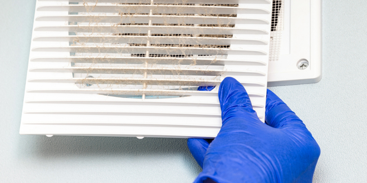 Ducts Can Harbor Allergens and Pests