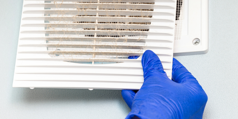 Ducts Can Harbor Allergens and Pests