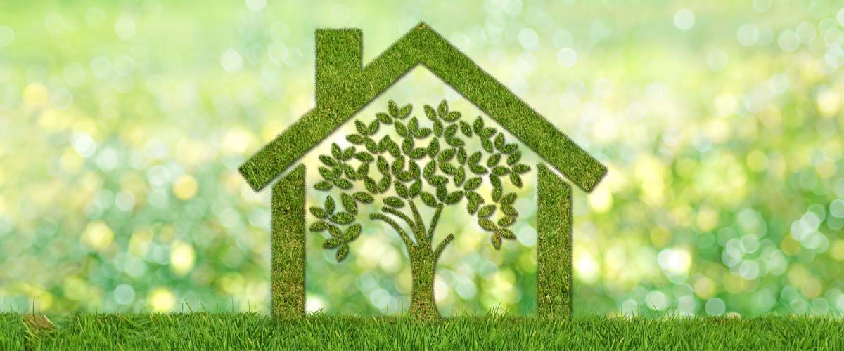 Chemical-Free Pest Control - Environmental Protection