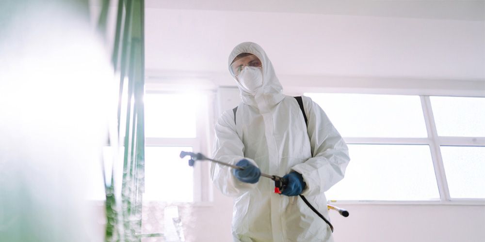 Get Fast Relief With Same-Day Pest Control