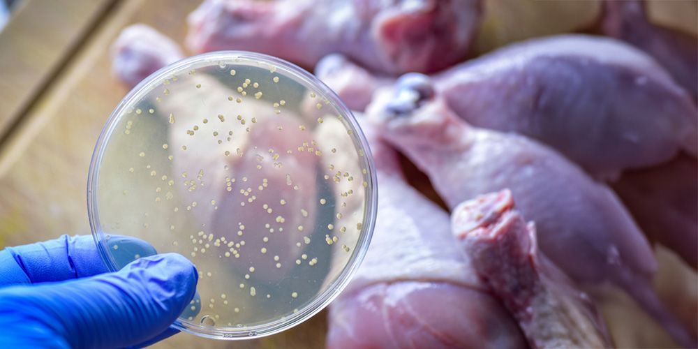 Reduce Food Contamination